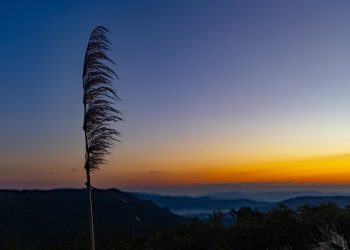 Inverno em Santa Catarina deve ter chuvas e temperaturas próximas da média