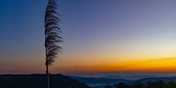 Inverno em Santa Catarina deve ter chuvas e temperaturas próximas da média