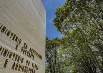 Ministério da Pesca lança concurso com 264 vagas e salário de R$ 6,1 mil; veja como se inscrever