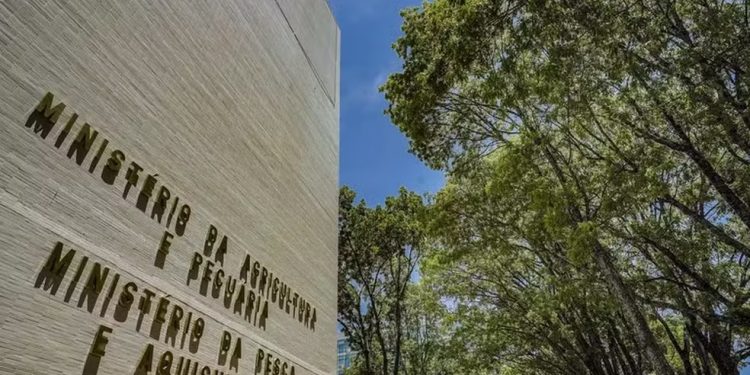 Ministério da Pesca lança concurso com 264 vagas e salário de R$ 6,1 mil; veja como se inscrever