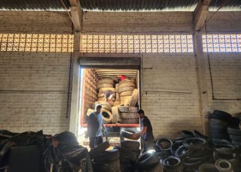 Combate à dengue: mais de 800 pneus inservíveis são recolhidos em SJB