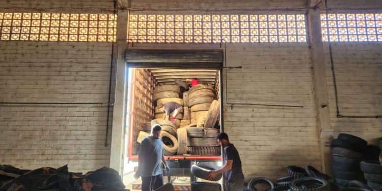 Combate à dengue: mais de 800 pneus inservíveis são recolhidos em SJB