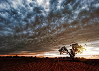 Mudança Climática Atinge o Sul do Brasil com Calor antes da Frente Fria