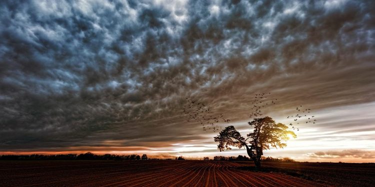 Mudança Climática Atinge o Sul do Brasil com Calor antes da Frente Fria