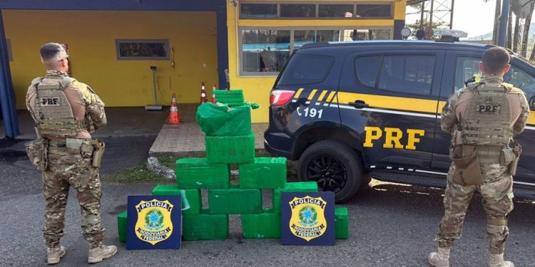 Casal foge por 20 km na BR-101 mas é preso com 187 quilos de maconha em Joinville