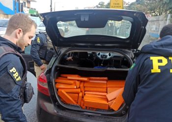 Motorista foge da abordagem mas é preso com maconha na BR-101 em Biguaçu