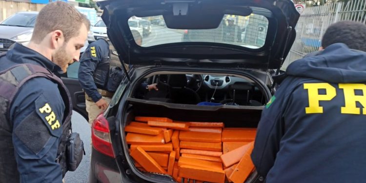 Motorista foge da abordagem mas é preso com maconha na BR-101 em Biguaçu