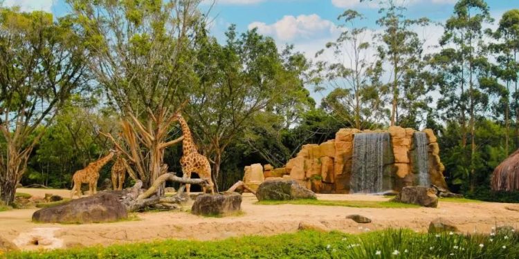 Encerramento do zoológico no Beto Carrero World após 32 anos de funcionamento