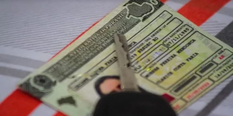 Santa Catarina oferece mais de 30 mil CNHs gratuitas