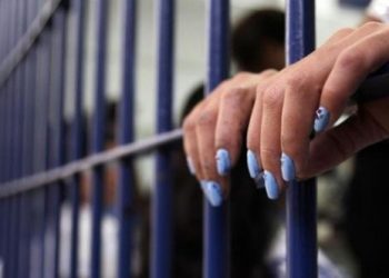 Polícia Civil prende preventivamente mulher após matar gato a pauladas