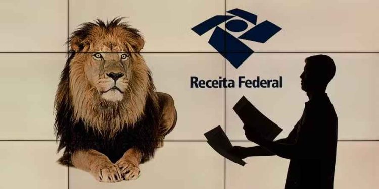Devolução do Imposto de Renda distribui R$ 441 milhões em SC: descubra seu valor