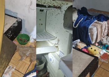 Após denúncias PM prende mãe por abandono de três filhos