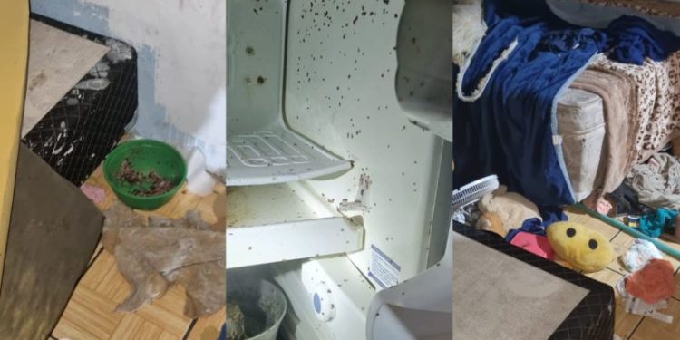 Após denúncias PM prende mãe por abandono de três filhos