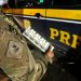 250 mil maços de cigarros paraguaios são localizados escondidos em carreta na BR-101 em Biguaçu