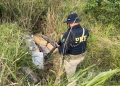 PRF localiza quase meia tonelada de maconha às margens da BR-282 em Iraceminha