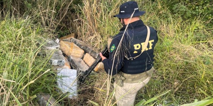 PRF localiza quase meia tonelada de maconha às margens da BR-282 em Iraceminha