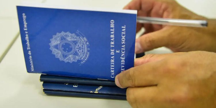 Santa Catarina tem mais de 8,7 mil oportunidades de trabalho disponíveis através do Sistema Nacional de Emprego (Sine).