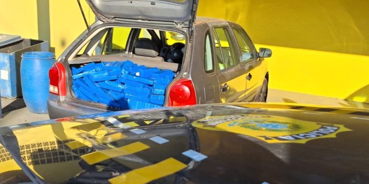 PRF localiza 263 kg de maconha em automóvel na BR-101