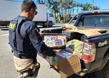 Cigarros eletrônicos contrabandeados são apreendidos na BR-101 em Joinville