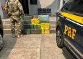 PRF apreende mais de 200 kg de maconha e recupera carro roubado na BR-101
