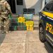 PRF apreende mais de 200 kg de maconha e recupera carro roubado na BR-101
