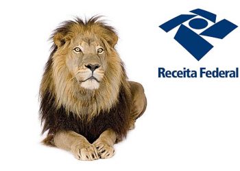 Receita inicia hoje, consulta do quinto lote da restituição