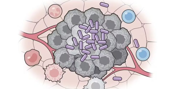 Pesquisadores desenvolvem vacina que ensina o sistema imunológico a combater o câncer
