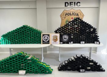 DRACO/DEIC intercepta caminhão com 700 quilos de drogas maior apreensão já feita pela PCSC