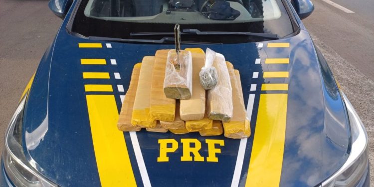 PRF prende traficante com mais de 12 quilos de maconha