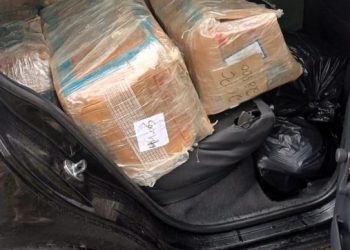 Maconha e skunk são apreendidos pela PRF na BR-101 em Joinville