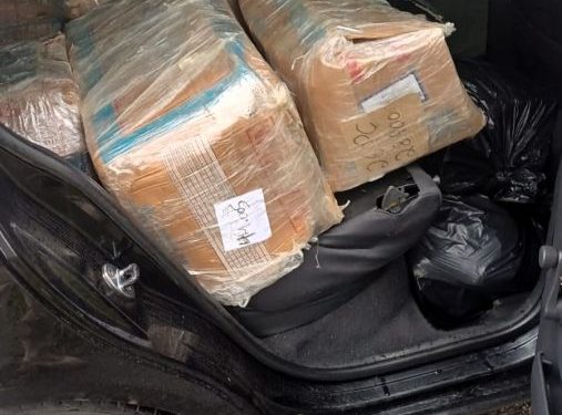 Maconha e skunk são apreendidos pela PRF na BR-101 em Joinville