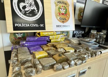 DRACO deflagra 5ª Fase da operação Tio Patinhas na região da Grande Florianópolis