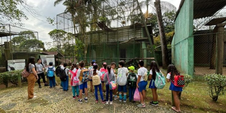 Estudantes da Rede Municipal de São João Batista visitam o Parque Zoobotânico de Brusque