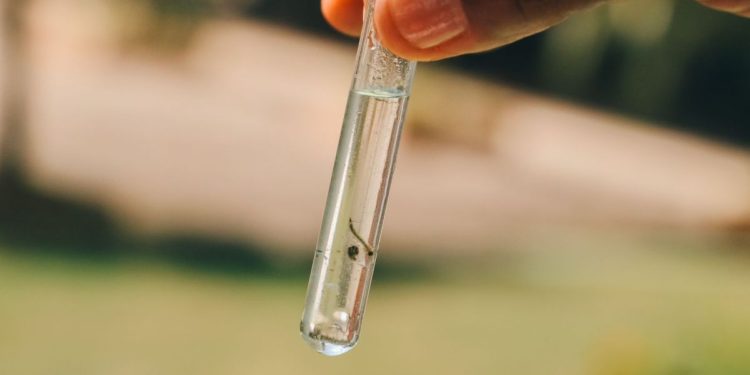 Saúde de São João Batista orienta para cuidados redobrados no combate à dengue durante as estações quentes do ano