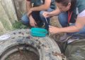 Tijucas segue alerta e com ações preventivas contra a dengue