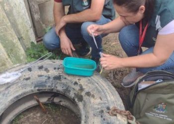 Tijucas segue alerta e com ações preventivas contra a dengue