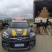 Carreta é interceptada na BR-101 com 1,36 toneladas de cocaína