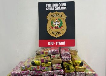 Polícia Civil prende suspeito e aprende 50KG de maconha e arma