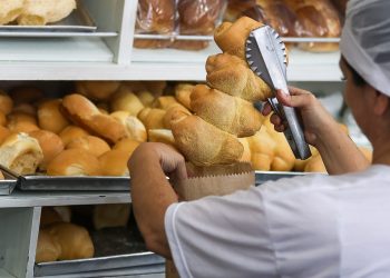 Sine oferece mais de 10 mil oportunidades de emprego em Santa Catarina