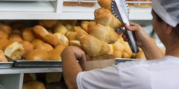 Sine oferece mais de 10 mil oportunidades de emprego em Santa Catarina