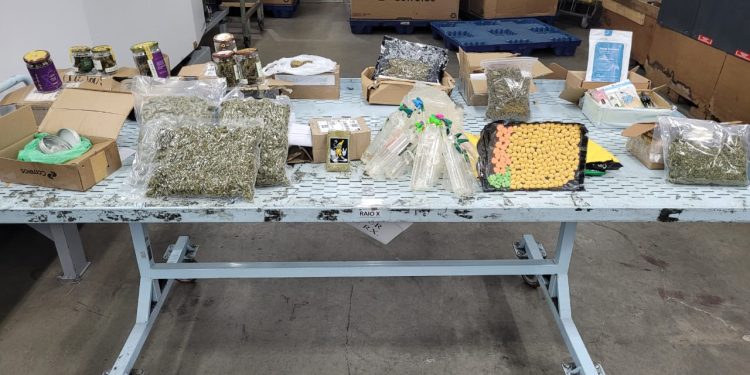 Operação conjunta de combate ao tráfico na Grande Florianópolis