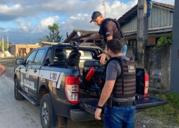 Departamento de investigações criminais identifica autora de abandono de gatos