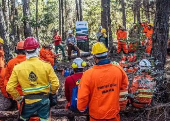 Parceria EUA-Brasil para combate a incêndios florestais é suspensa por decreto de Trump