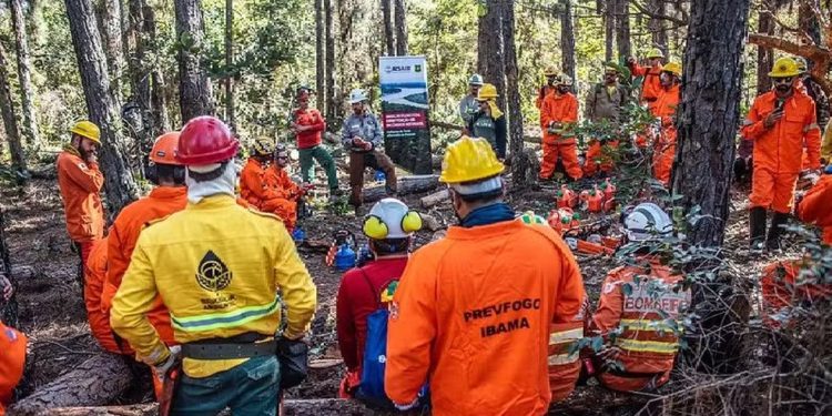 Parceria EUA-Brasil para combate a incêndios florestais é suspensa por decreto de Trump