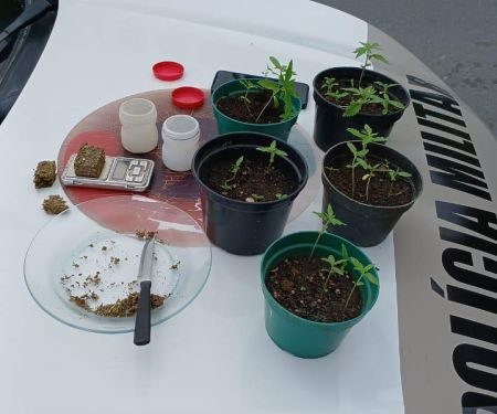 Polícia Militar Prende Dois Homens por Tráfico de Drogas em Bombinhas