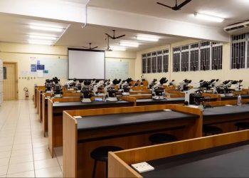 Santa Catarina divulga prazos para renovação e inscrições de bolsas de estudo para ensino superior