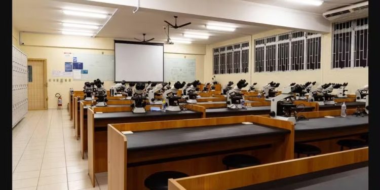 Santa Catarina divulga prazos para renovação e inscrições de bolsas de estudo para ensino superior