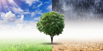 Litoral catarinense tem previsão de temporais com risco de alagamentos e até 150 mm de chuva