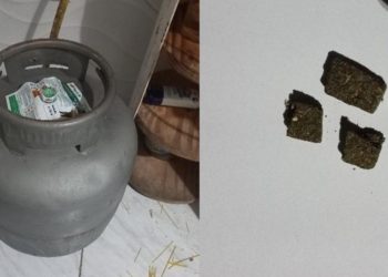 Após abordagem polícia militar de Nova Trento apreende droga e recupera botijão furtado