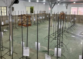 Polícia Militar e Cidasc soltam pássaros silvestres e impedem torneio ilegal de canto